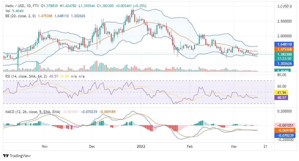 Polygon Price Analysis